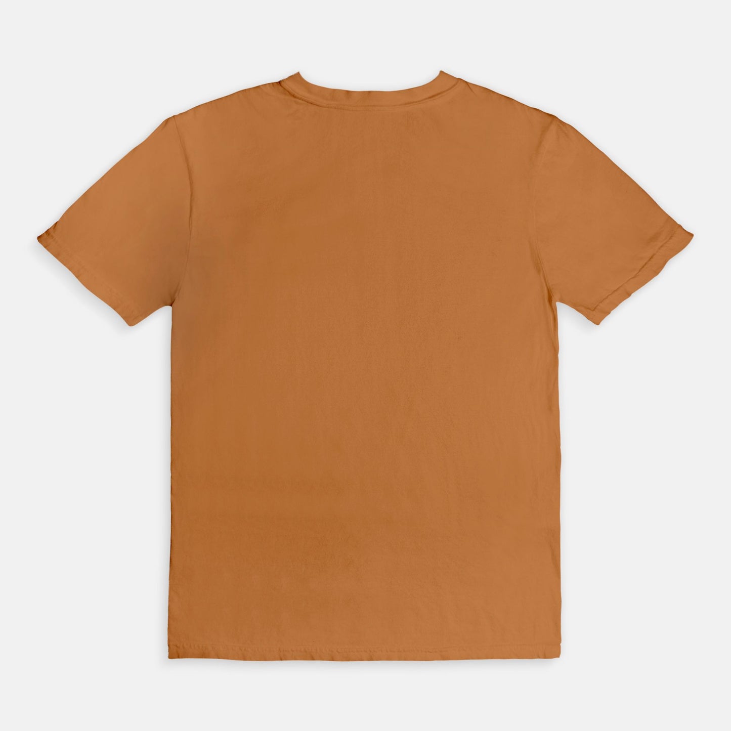 Annoyed But Grateful- Tshirt